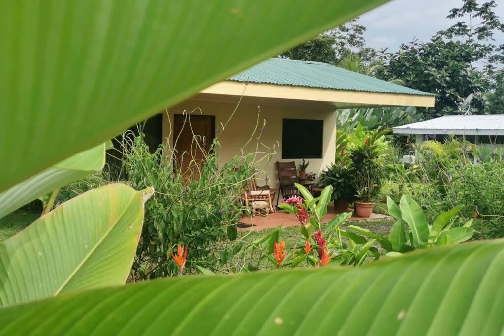 Granja Agua Azul, Wi-Fi,Ac-Wc,Parking,Ла Фортуна Экстерьер фото